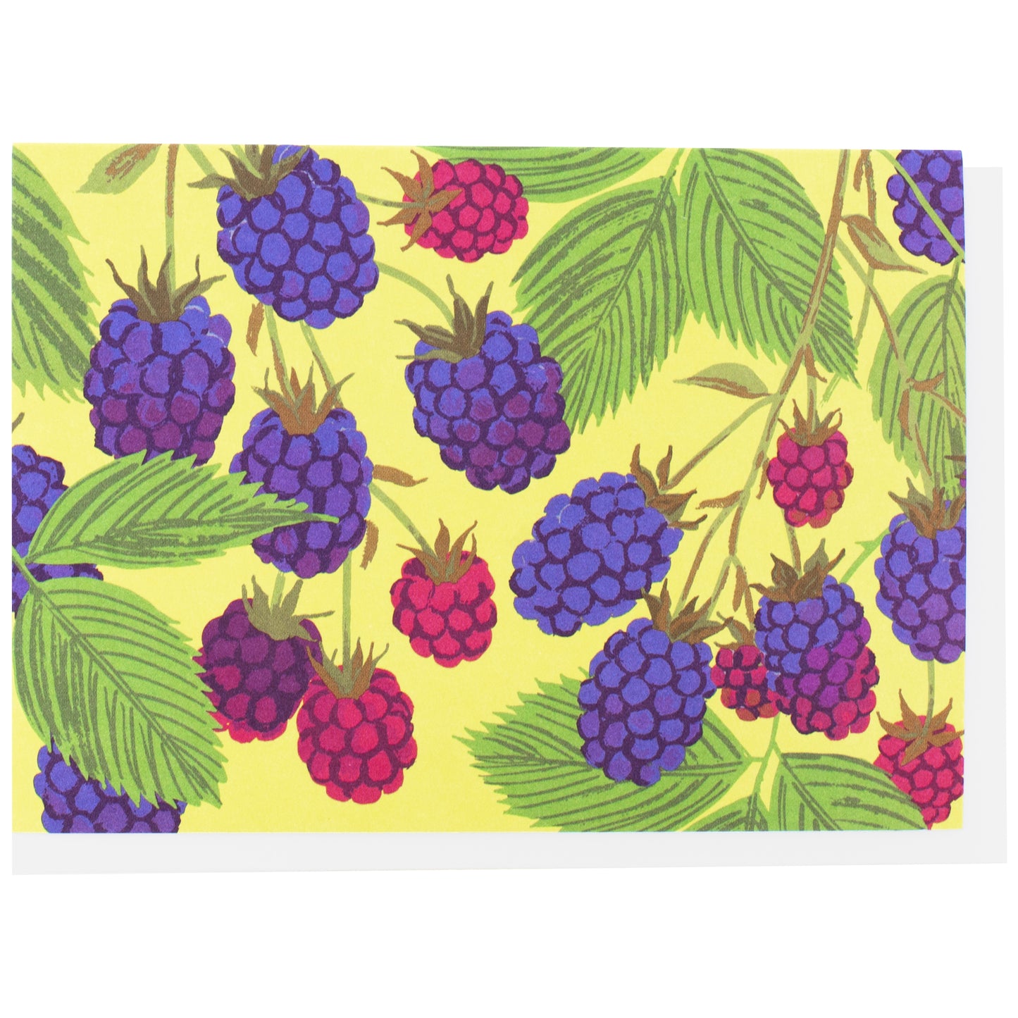 Assorted Fruits & Veggies Note Card Set