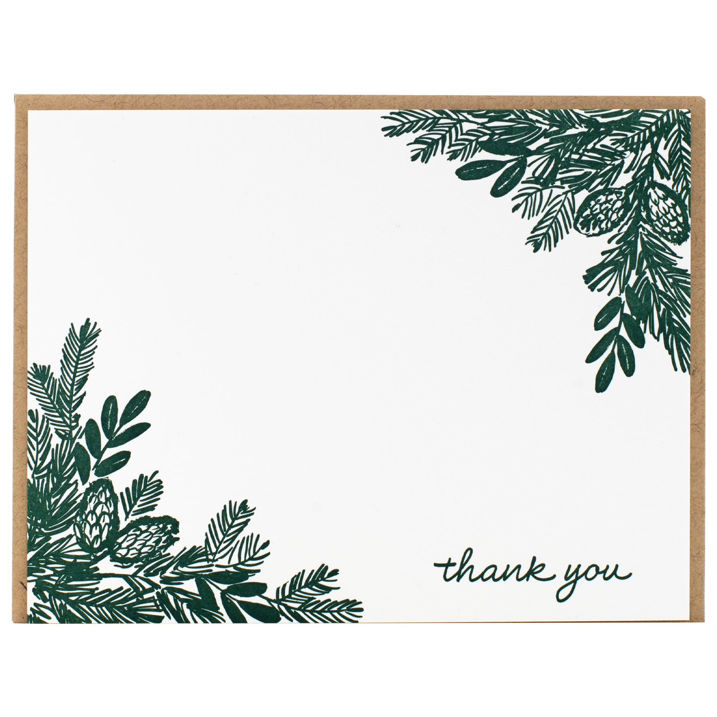Pine Branches Note Cards with Letterpress Envelopes