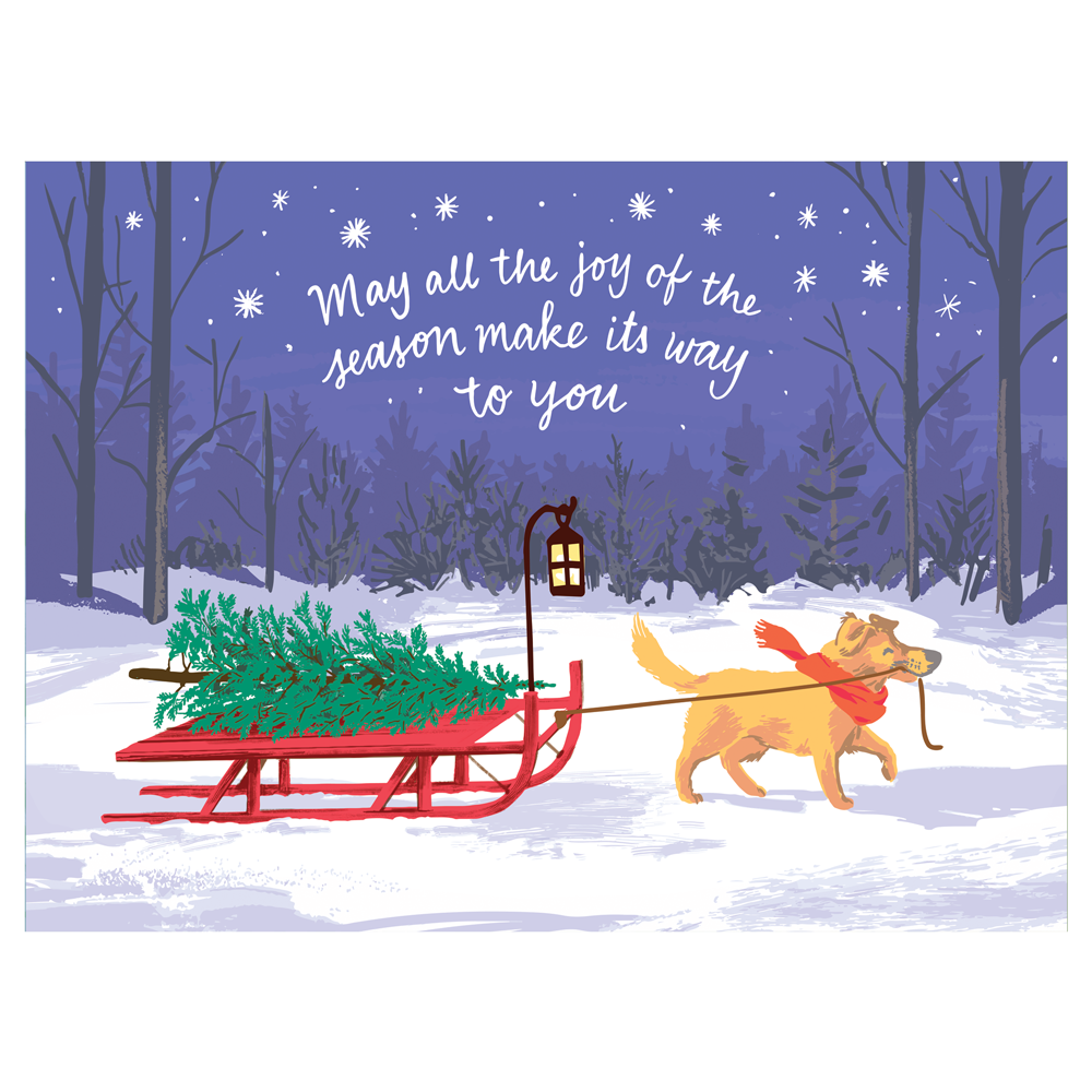 Sled Dog Holiday Card