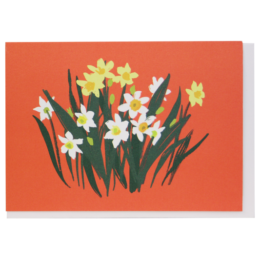 Paperwhites Boxed Note Cards