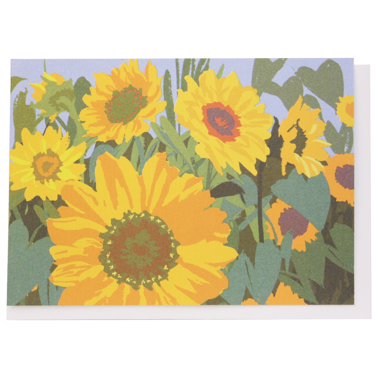 Sunflowers Boxed Note Cards