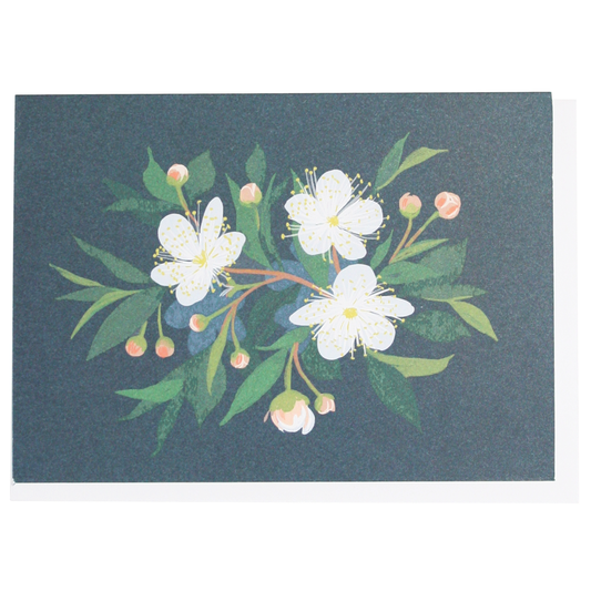 Myrtle Boxed Note Cards