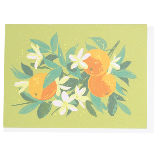Oranges Boxed Note Cards