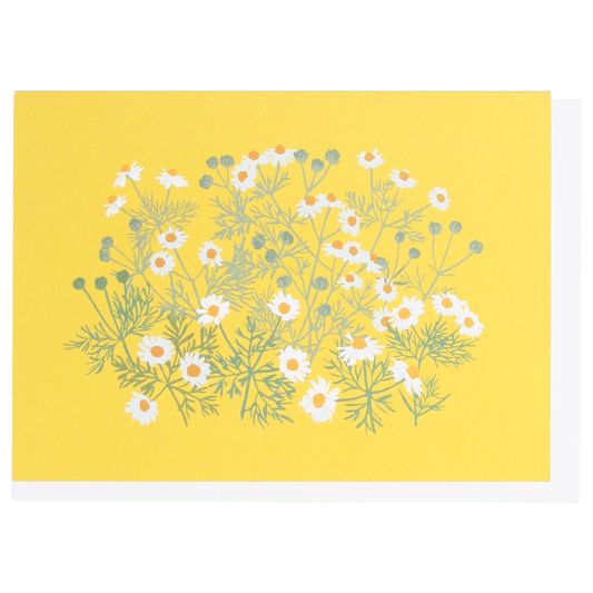 Chamomile Boxed Note Cards