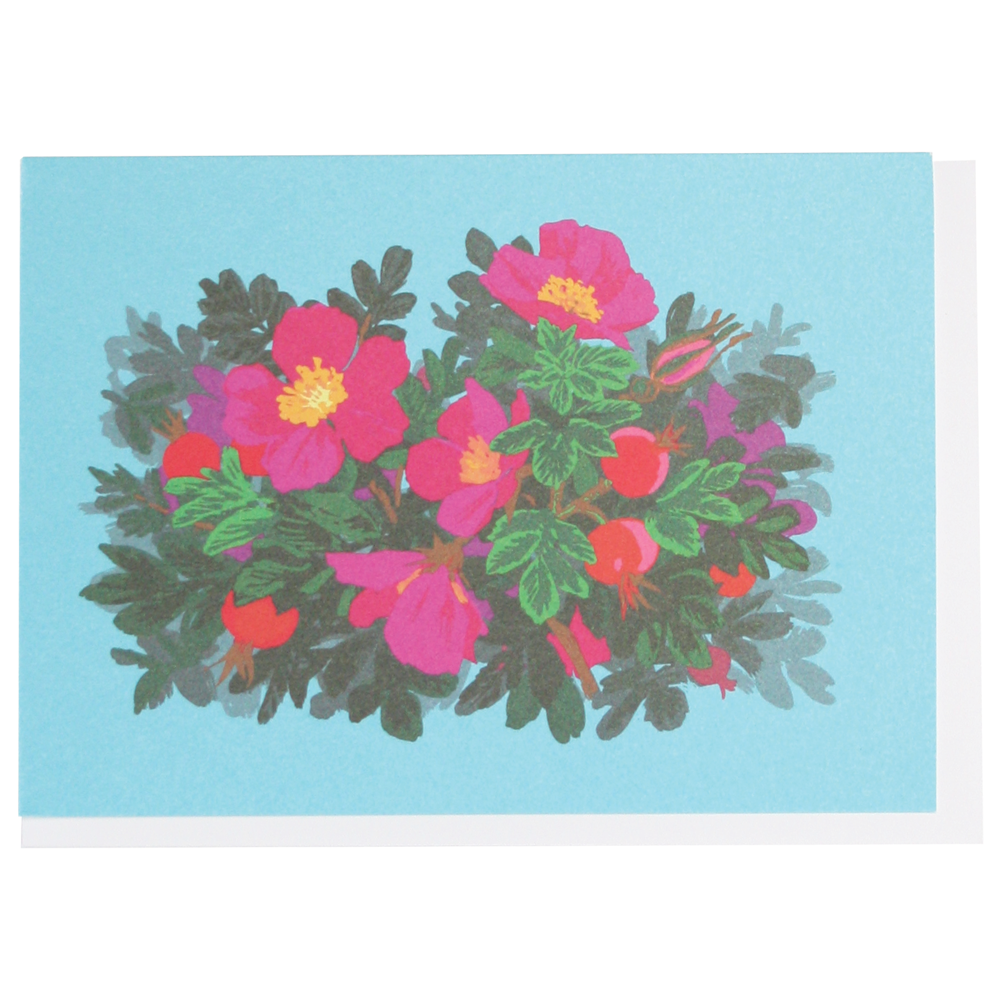 Beach Roses Boxed Note Cards