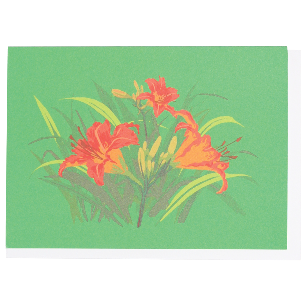 Daylilies Boxed Note Cards