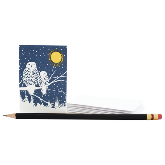 Mini Peaceful Owls Holiday Enclosure Card